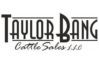 Bang Cattle Sales ~ Taylor & Kara Bang